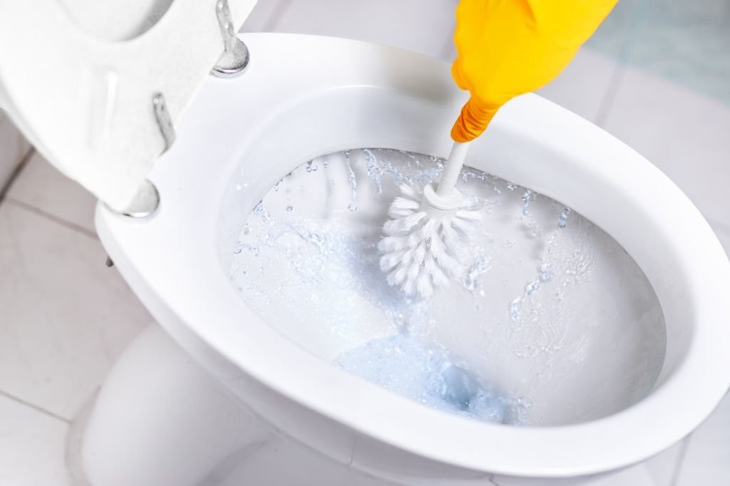 How To Keep Your Toilet Seat Clean